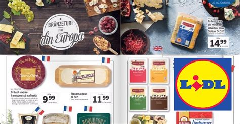 lidl costinesti|Lidl București